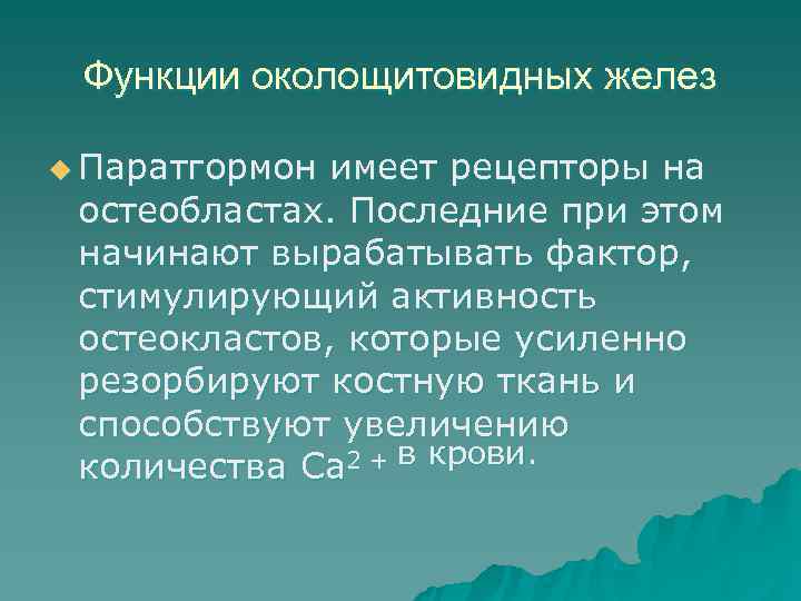  Функции околощитовидных желез u Паратгормон имеет рецепторы на остеобластах. Последние при этом начинают