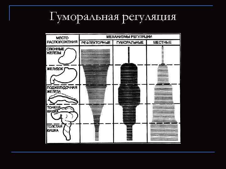 Гуморальная регуляция 