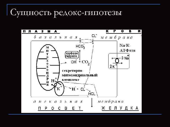 Сущность редокс-гипотезы 