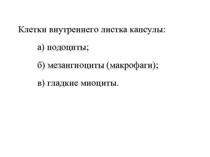 Клетки внутреннего листка капсулы: а) подоциты; б) мезангиоциты (макрофаги); в) гладкие миоциты. 