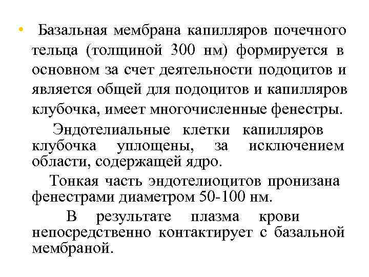  • Базальная мембрана капилляров почечного  тельца (толщиной 300 нм) формируется в 