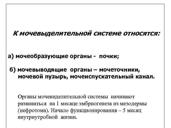  К мочевыделительной системе относятся:  а) мочеобразующие органы - почки;  б) мочевыводящие