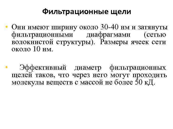   Фильтрационные щели • Они имеют ширину около 30 -40 нм и затянуты