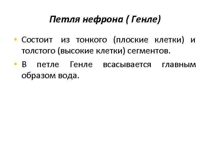   Петля нефрона ( Генле) • Состоит из тонкого (плоские клетки) и 