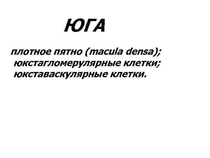    ЮГА плотное пятно (macula densa); юкстагломерулярные клетки; юкставаскулярные клетки. 