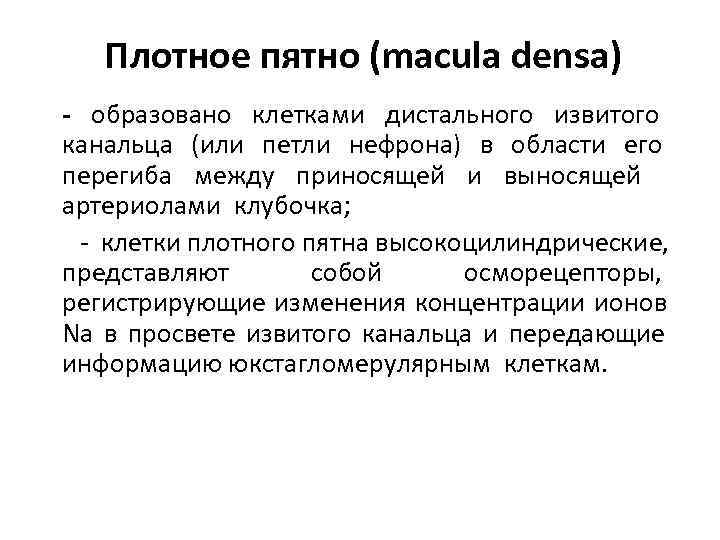   Плотное пятно (macula densa) - образовано клетками дистального извитого канальца (или петли