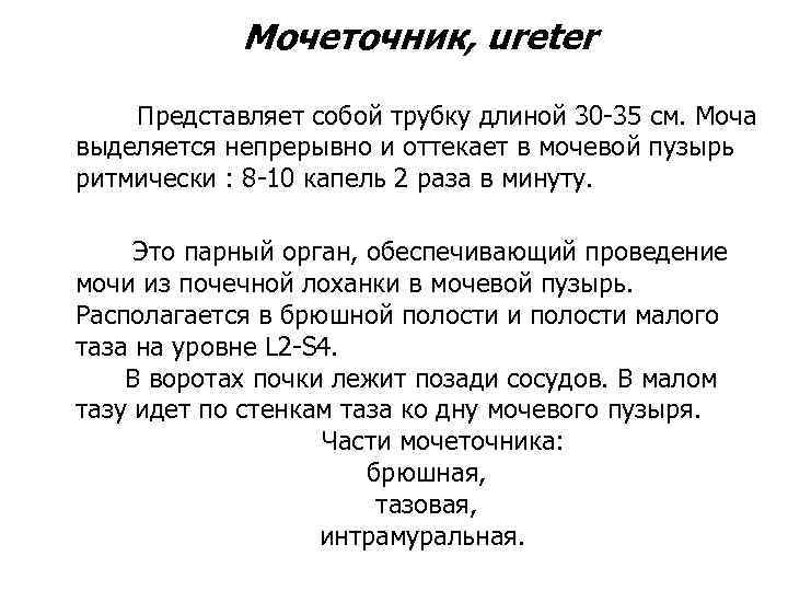   Мочеточник, ureter Представляет собой трубку длиной 30 -35 см. Моча выделяется непрерывно