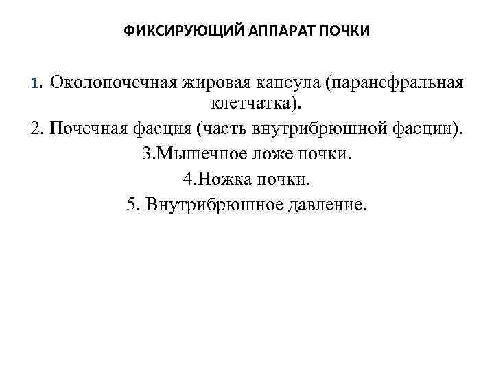    ФИКСИРУЮЩИЙ АППАРАТ ПОЧКИ  1. Околопочечная жировая капсула (паранефральная  