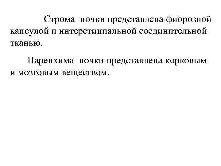   Строма почки представлена фиброзной капсулой и интерстициальной соединительной тканью. Паренхима почки представлена