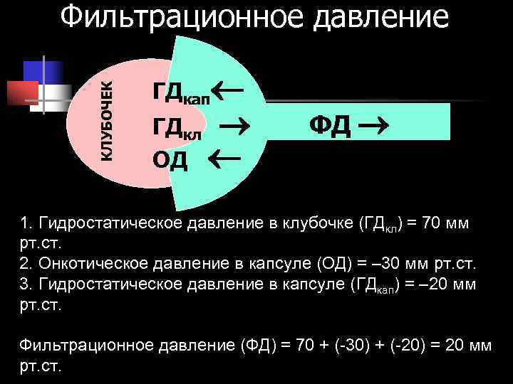 Фильтрационное давление ГДкап КЛУБОЧЕК Фильтрационное давление ГДкап КЛУБОЧЕК