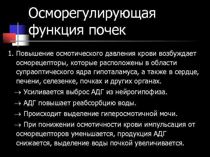 Осморегулирующая функция почек 1. Повышение осмотического давления крови возбуждает осморецепторы, которые Осморегулирующая функция почек 1. Повышение осмотического давления крови возбуждает осморецепторы, которые