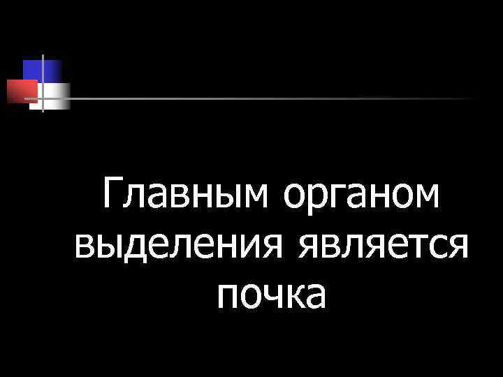 Главным органом выделения является почка Главным органом выделения является почка