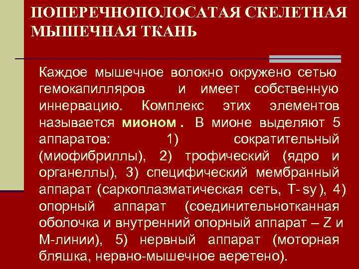 ПОПЕРЕЧНОПОЛОСАТАЯ СКЕЛЕТНАЯ МЫШЕЧНАЯ ТКАНЬ Каждое мышечное волокно окружено сетью  гемокапилляров и имеет собственную