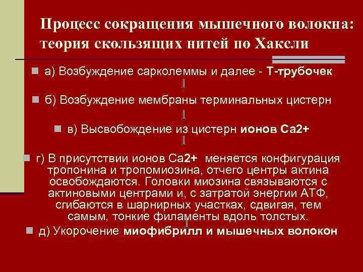  Процесс сокращения мышечного волокна:  теория скользящих нитей по Хаксли n а) Возбуждение
