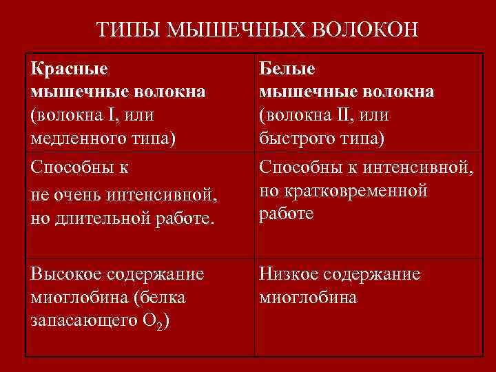   ТИПЫ МЫШЕЧНЫХ ВОЛОКОН Красные   Белые мышечные волокна (волокна I, или