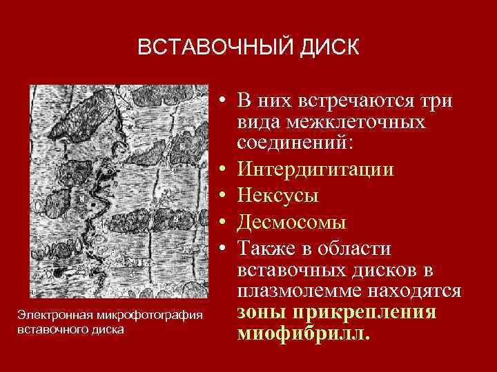    ВСТАВОЧНЫЙ ДИСК       • В них