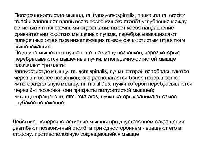 Поперечно-остистая мышца, m. transversospinalis, прикрыта m. erector trunci и заполняет вдоль всего позвоночного столба