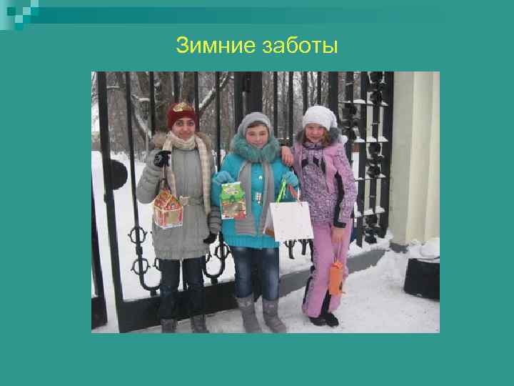 Зимние заботы 