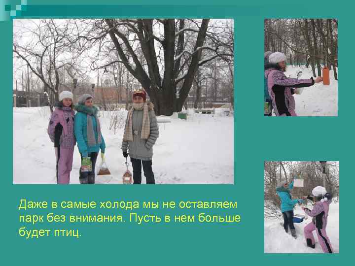 Даже в самые холода мы не оставляем парк без внимания. Пусть в нем больше