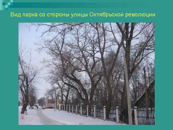 Вид парка со стороны улицы Октябрьской революции 