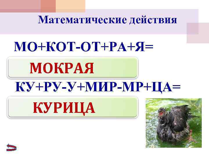  Математические действия МО+КОТ-ОТ+РА+Я= МОКРАЯ КУ+РУ-У+МИР-МР+ЦА=  КУРИЦА 