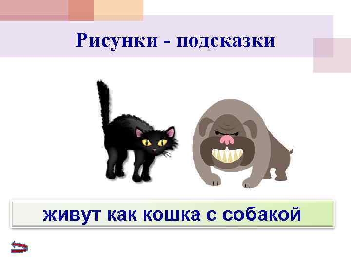   Рисунки - подсказки живут как кошка с собакой 