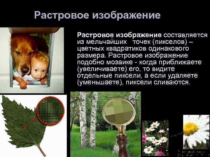 Растровое изображение составляется  из мельчайших точек (пикселов) –  цветных квадратиков одинакового 