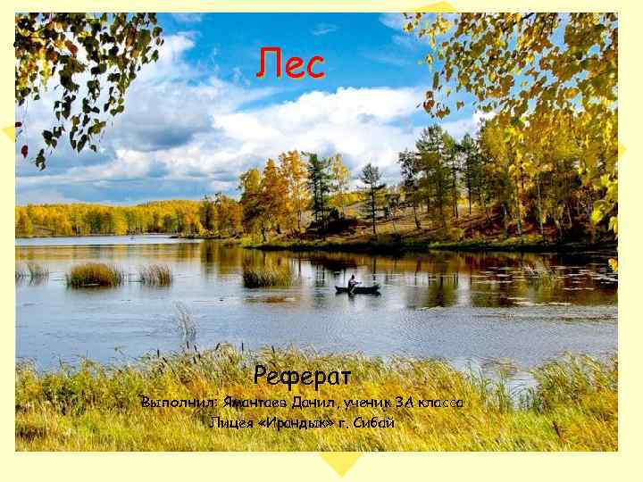    Лес    Реферат Выполнил: Ямантаев Данил, ученик ЗА класса