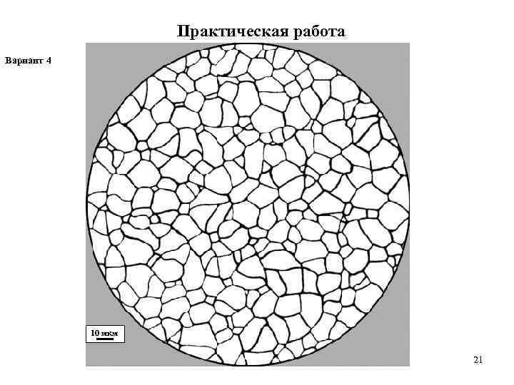      Практическая работа Вариант 4   10 мкм 