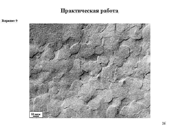      Практическая работа Вариант 9   10 мкм 