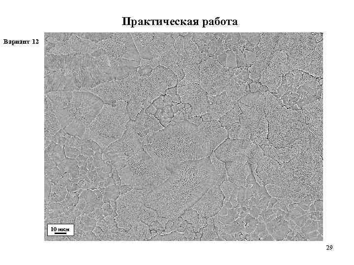      Практическая работа Вариант 12   10 мкм 