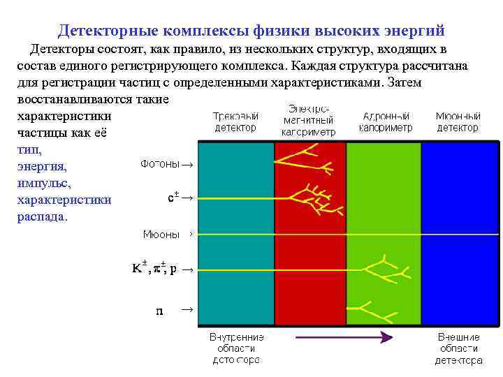  Детекторные комплексы физики высоких энергий Детекторы состоят, как правило, из нескольких структур, входящих