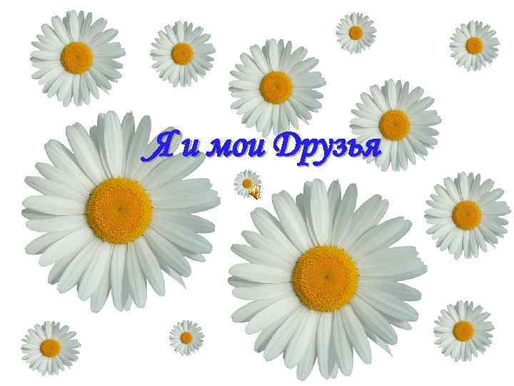 Я и мои Друзья 