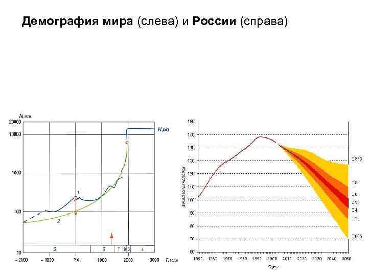 Демография мира (слева) и России (справа) 