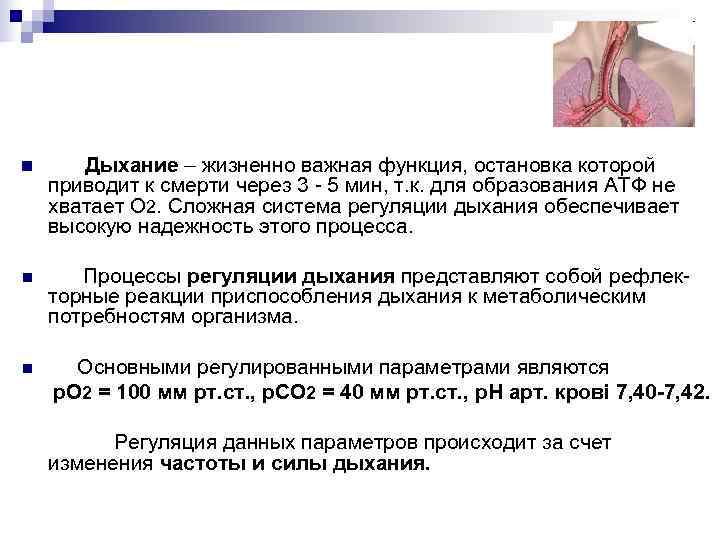 n Дыхание – жизненно важная функция, остановка которой приводит к смерти через 3 -