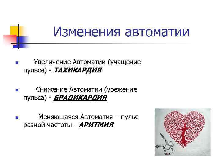   Изменения автоматии n Увеличение Автоматии (учащение пульса) - ТАХИКАРДИЯ n  Снижение