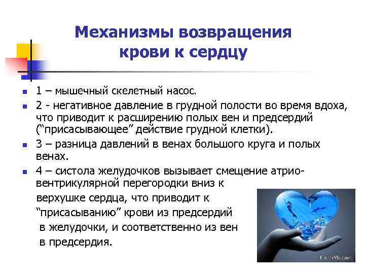   Механизмы возвращения    крови к сердцу n  1 –