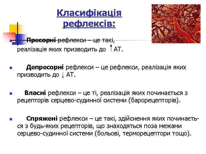    Класифікація    рефлексів: n Пресорні рефлекси – це такі,