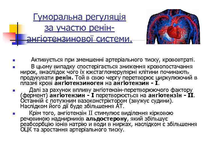   Гуморальна регуляція  за участю ренін-  ангіотензинової системи.  n 