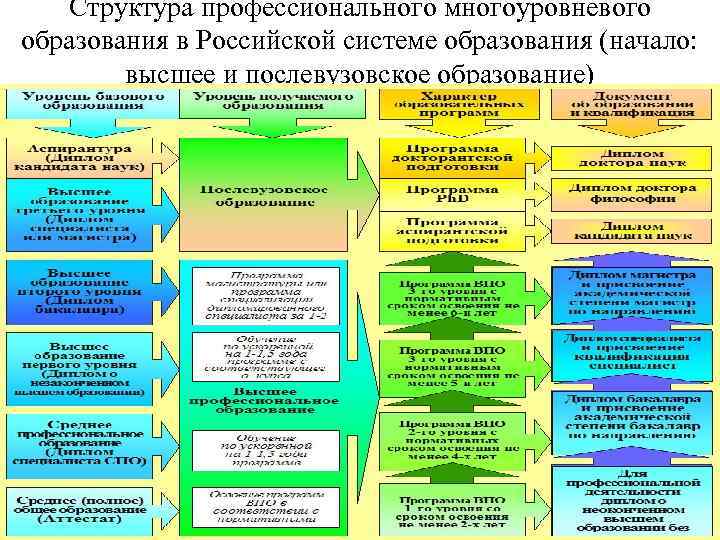 Структура профессионального многоуровневого образования в Российской системе образования (начало: высшее и Структура профессионального многоуровневого образования в Российской системе образования (начало: высшее и