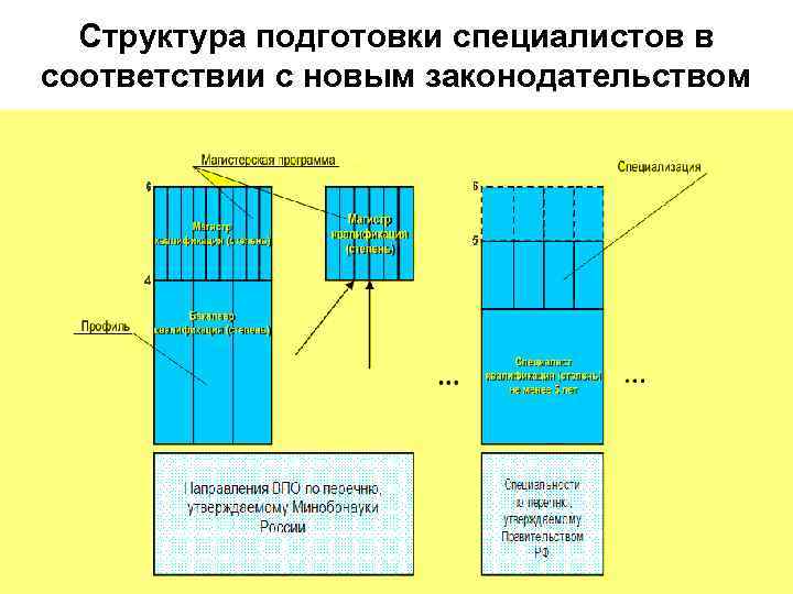 Структура подготовки специалистов в соответствии с новым законодательством Структура подготовки специалистов в соответствии с новым законодательством