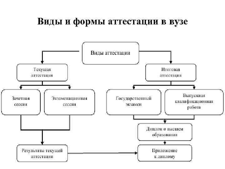 Виды и формы аттестации в вузе 71 Виды и формы аттестации в вузе 71