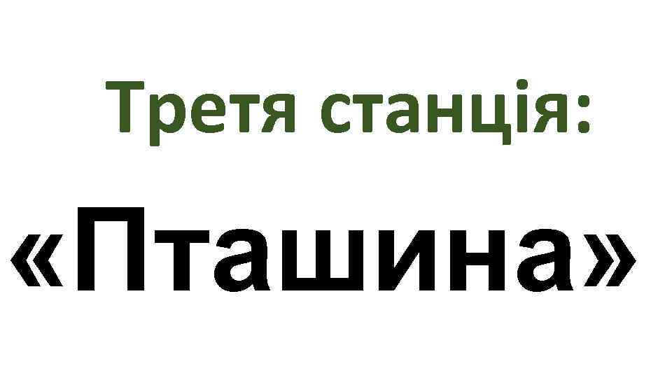  Третя станція:  «Пташина»  