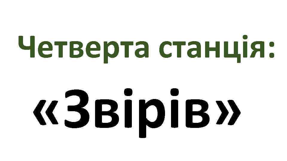 Четверта станція:  «Звірів» 