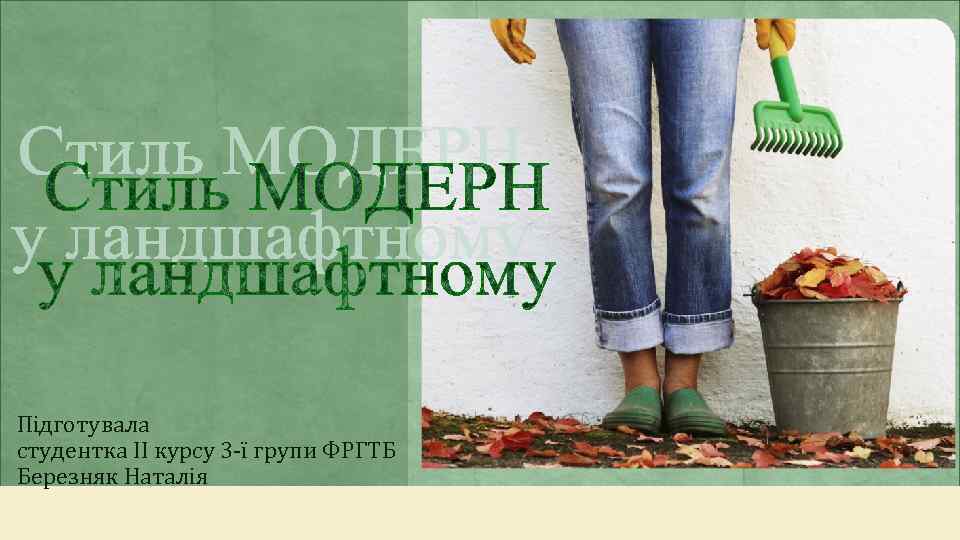 Підготувала студентка ІІ курсу 3 -ї групи ФРГТБ Березняк Наталія 
