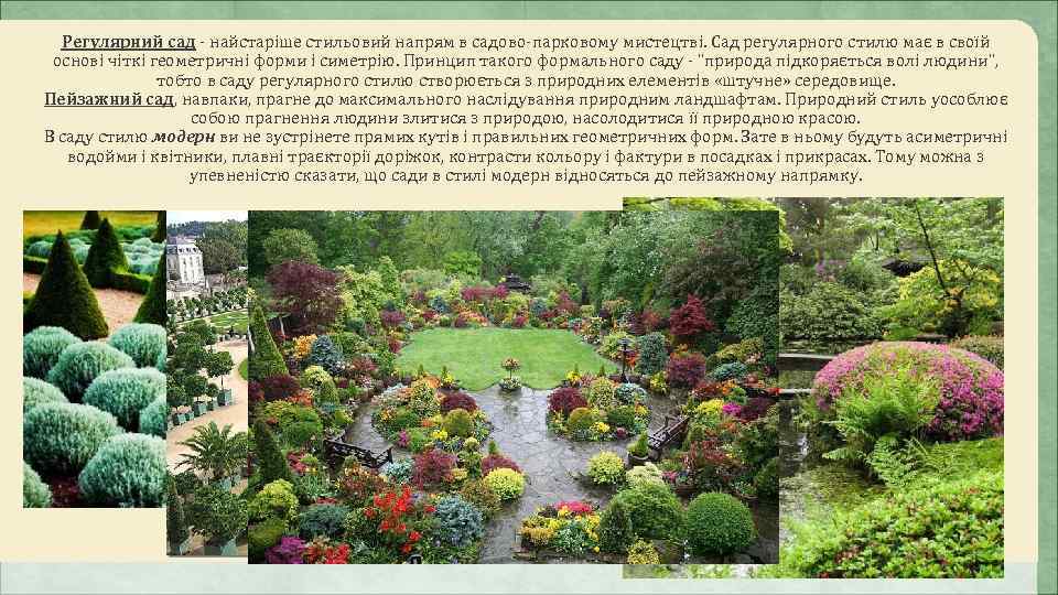  Регулярний сад - найстаріше стильовий напрям в садово-парковому мистецтві. Сад регулярного стилю має