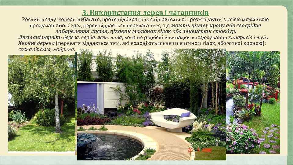      3. Використання дерев і чагарників Рослин в саду модерн