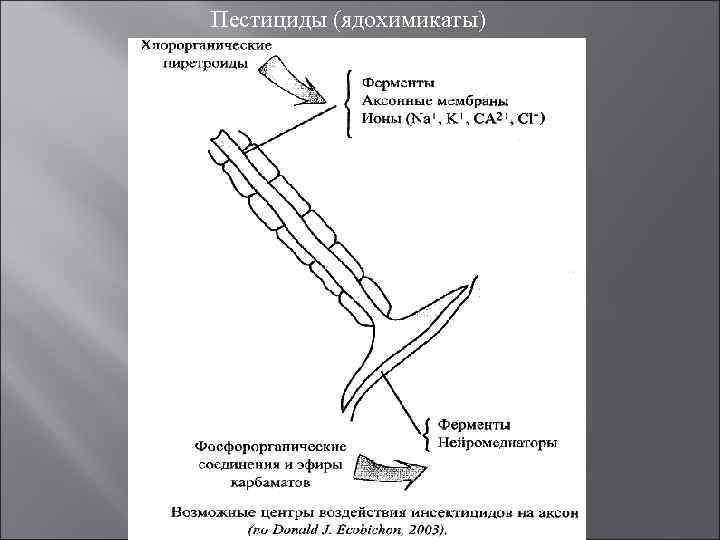 Пестициды (ядохимикаты) 