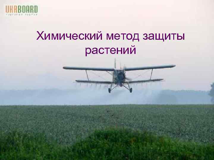 Химический метод защиты  растений 