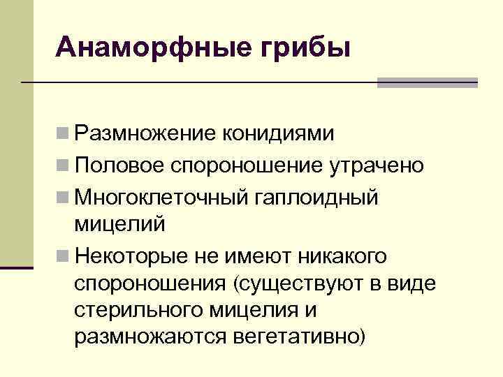 Анаморфные грибы n Размножение конидиями n Половое спороношение утрачено n Многоклеточный гаплоидный  мицелий